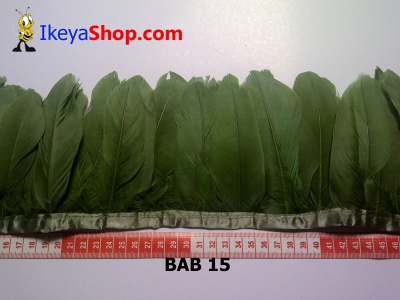 Bulu angsa BAB 15   feather  large2
